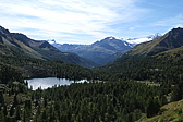 p1030487.jpg