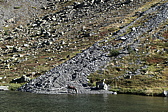 p1030505.jpg