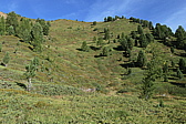 p1030521.jpg