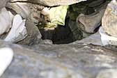 p1030524.jpg