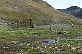 p1030529.jpg