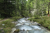p1030542.jpg