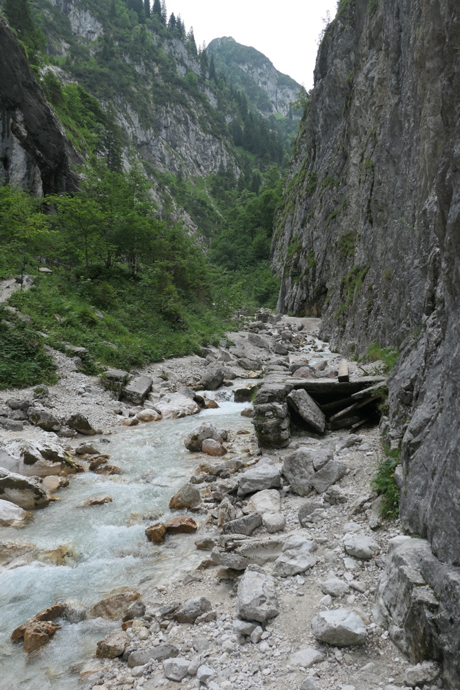 p1020806.jpg
