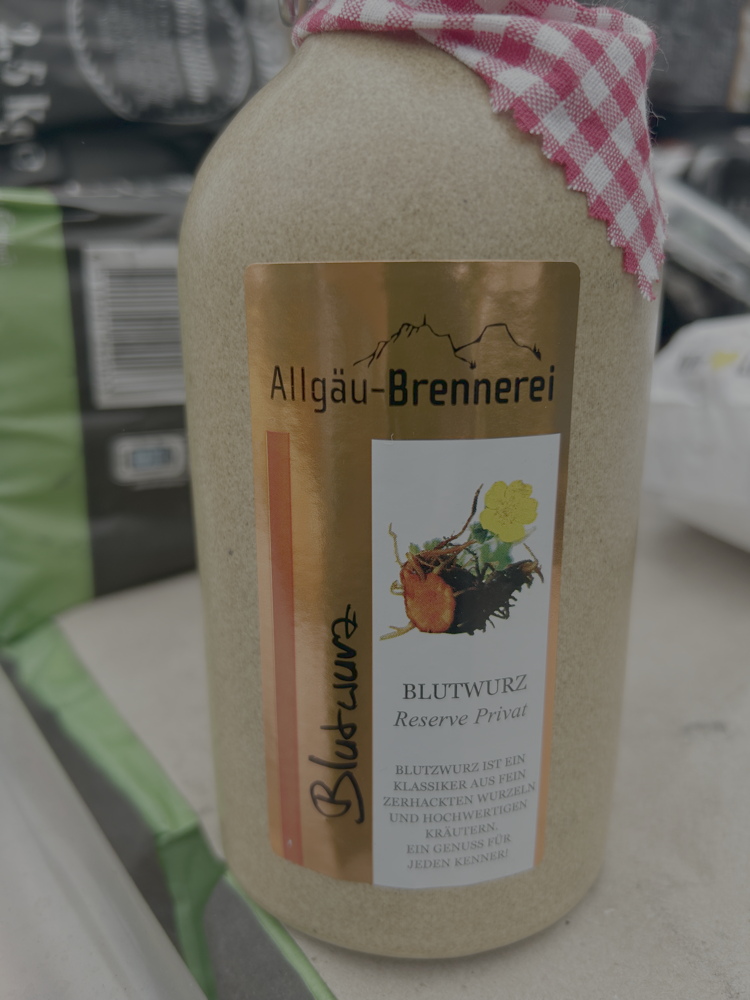 p1020881a.jpeg