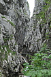 p1020794.jpg