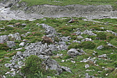 p1020820.jpg