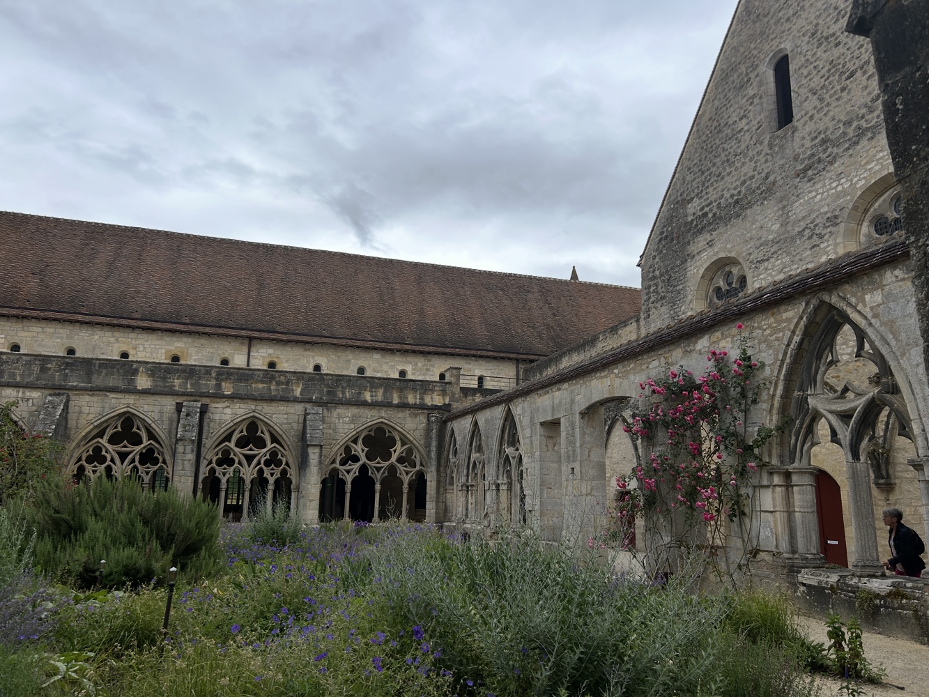 img_4781.jpeg