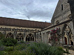 img_4781.jpeg