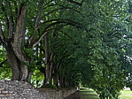 img_4789.jpeg