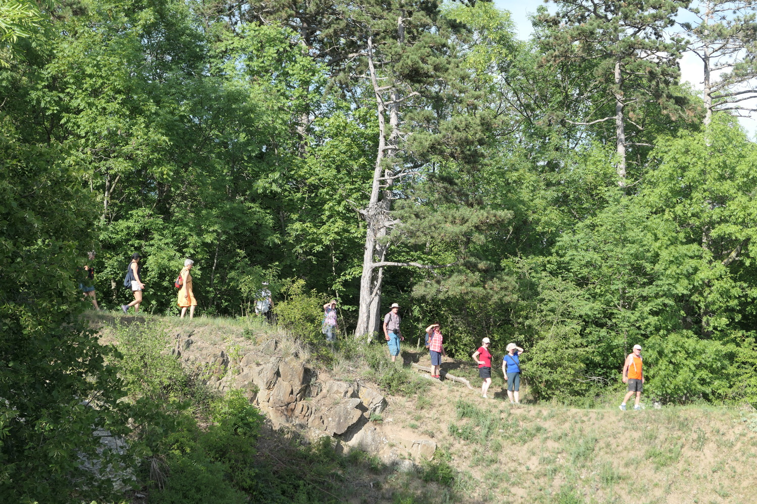 p1060957.jpg