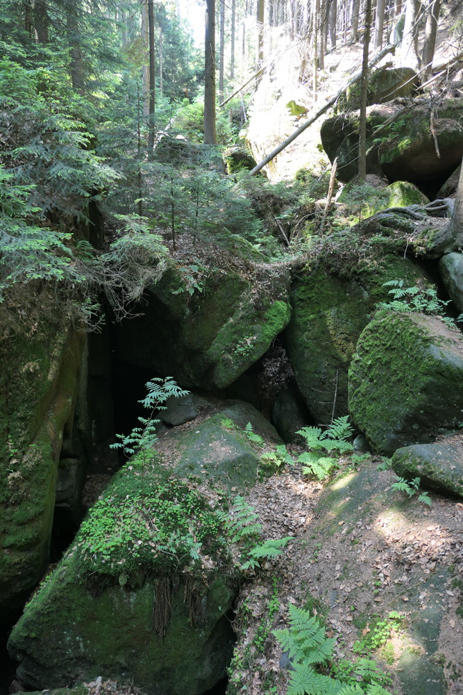 p1070166.jpg