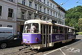 p1060790.jpg