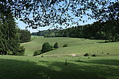 p1070068.jpg