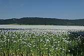 p1070151.jpg