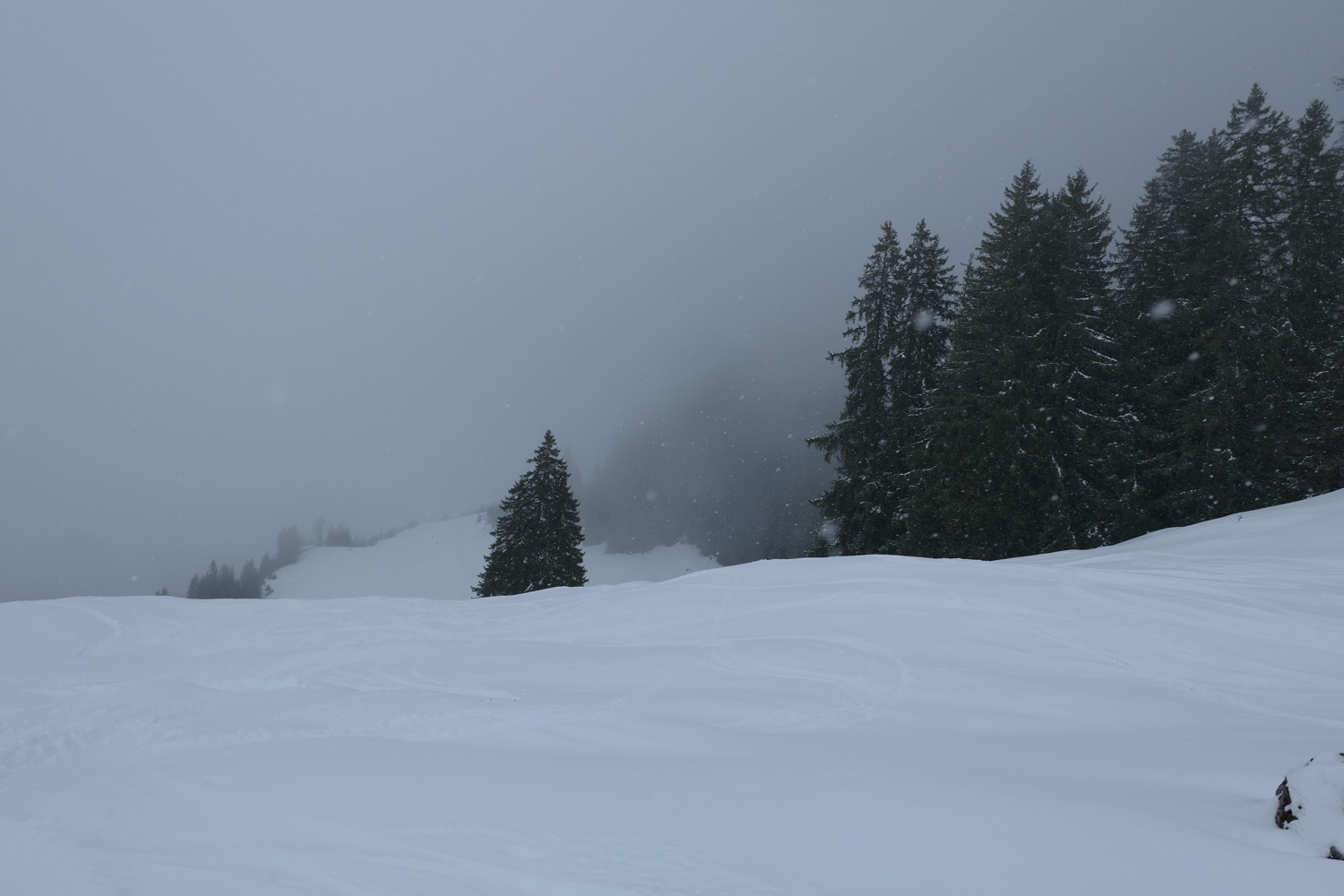 p1050831.jpg