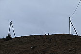 p1050826.jpg