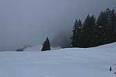 p1050831.jpg