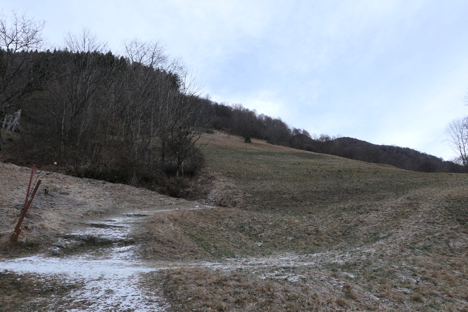 p1050714.jpg