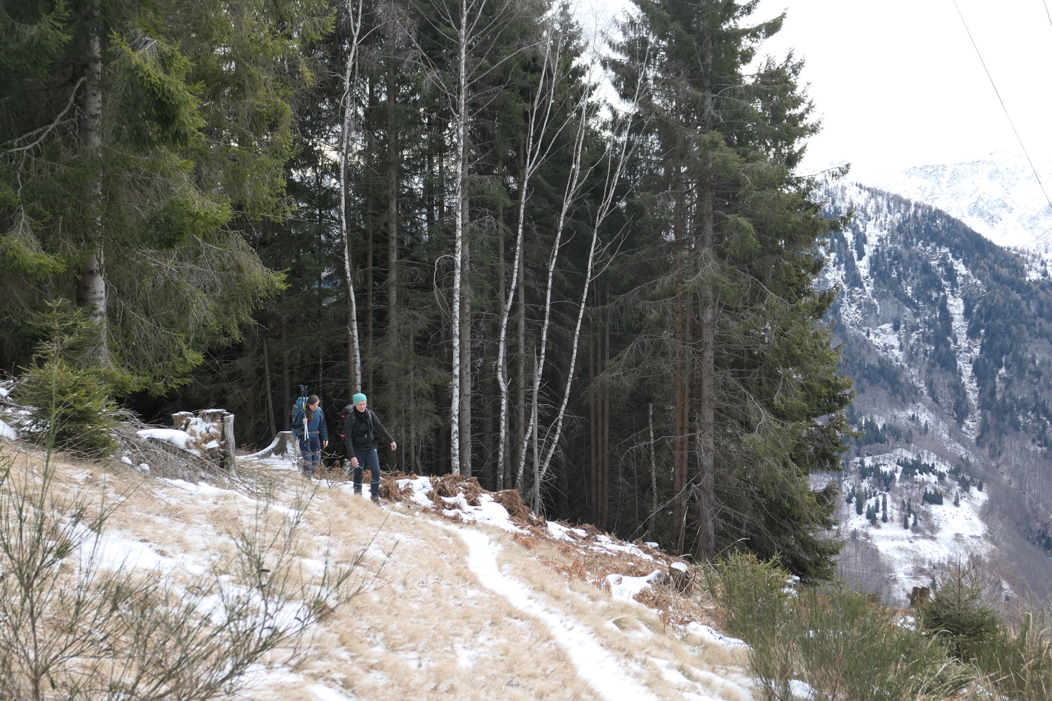 p1050716.jpg