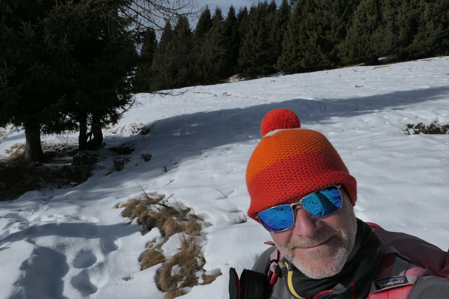 p1050719.jpg