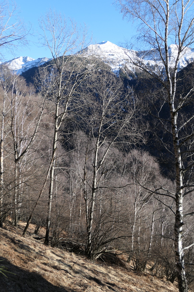 p1050749.jpg