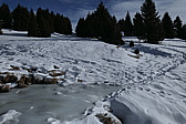 p1050720.jpg