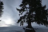 p1050752.jpg