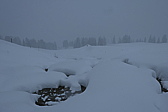 p1050856.jpg