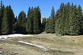 p1060315.jpg