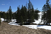 p1060329.jpg