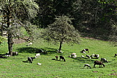 p1060300.jpg