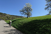p1060305.jpg