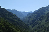p1070274.jpg