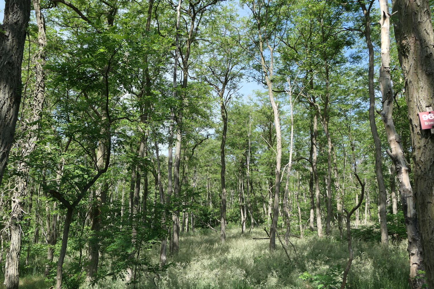 p1060574.jpg