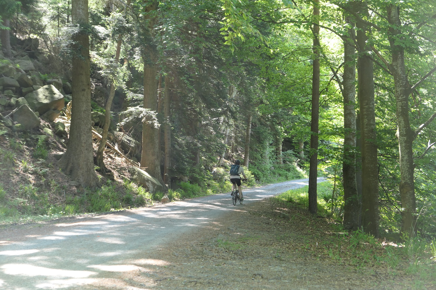 p1060676.jpg