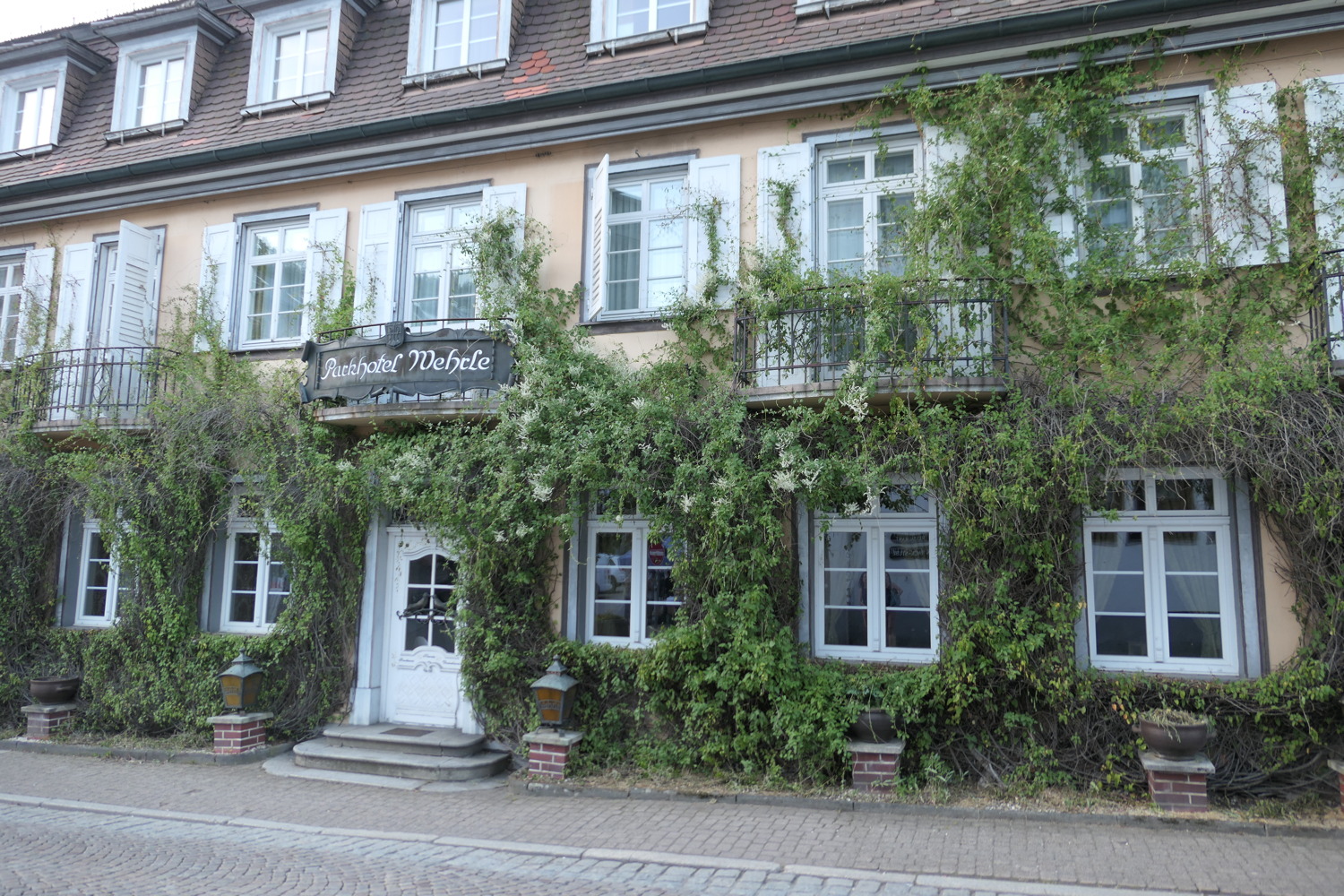 p1060731.jpg