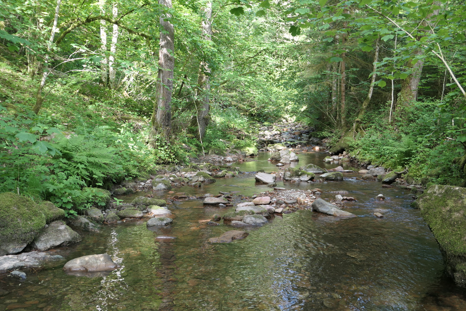 p1060744.jpg