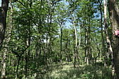 p1060574.jpg