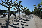 p1060631.jpg