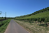 p1060633.jpg