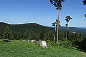 p1060677.jpg
