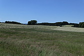 p1060712.jpg