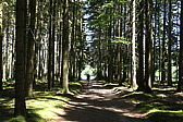 p1060713.jpg