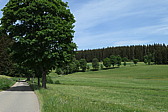 p1060736.jpg
