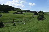 p1060739.jpg