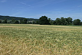 p1060745.jpg