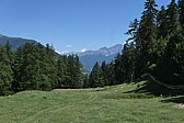p1070372.jpg