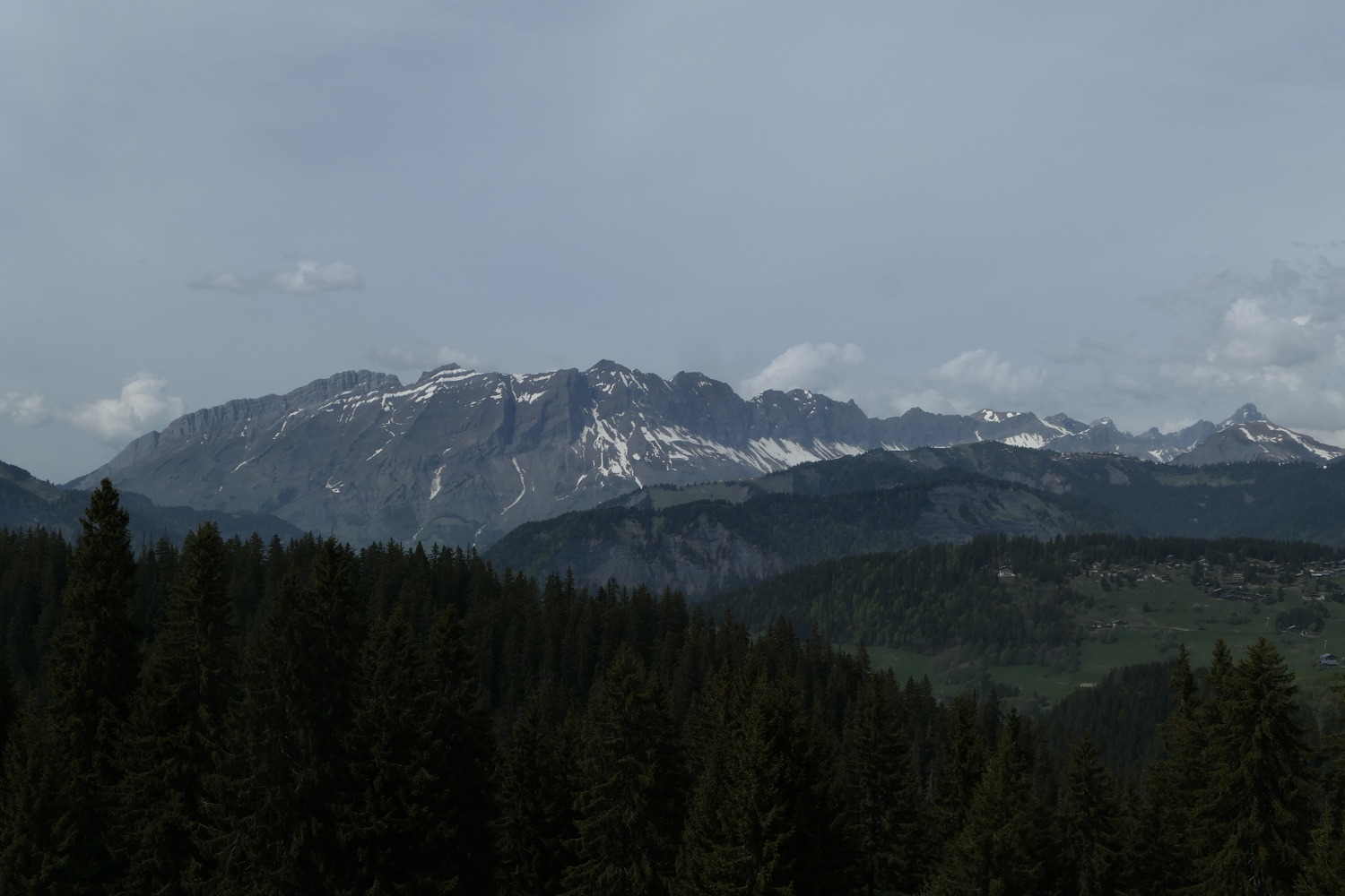 p1060389.jpg