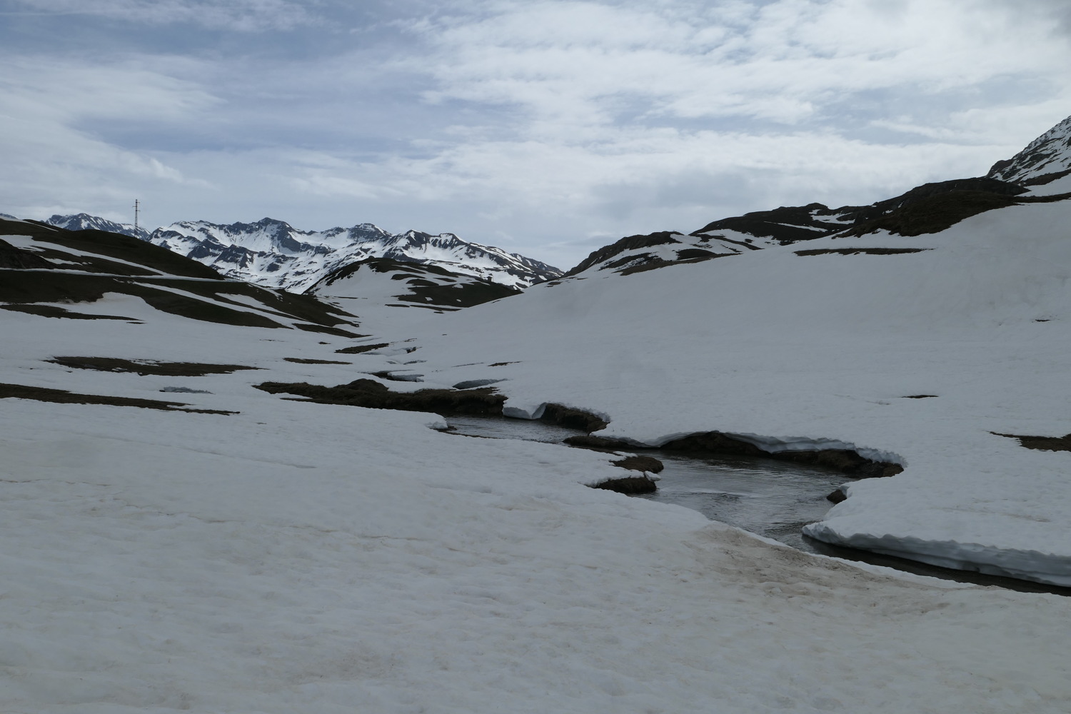 p1060420.jpg