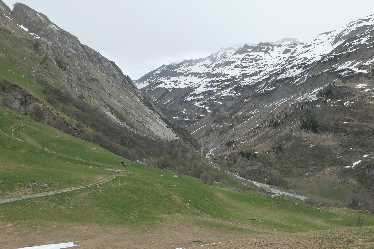 p1060423.jpg